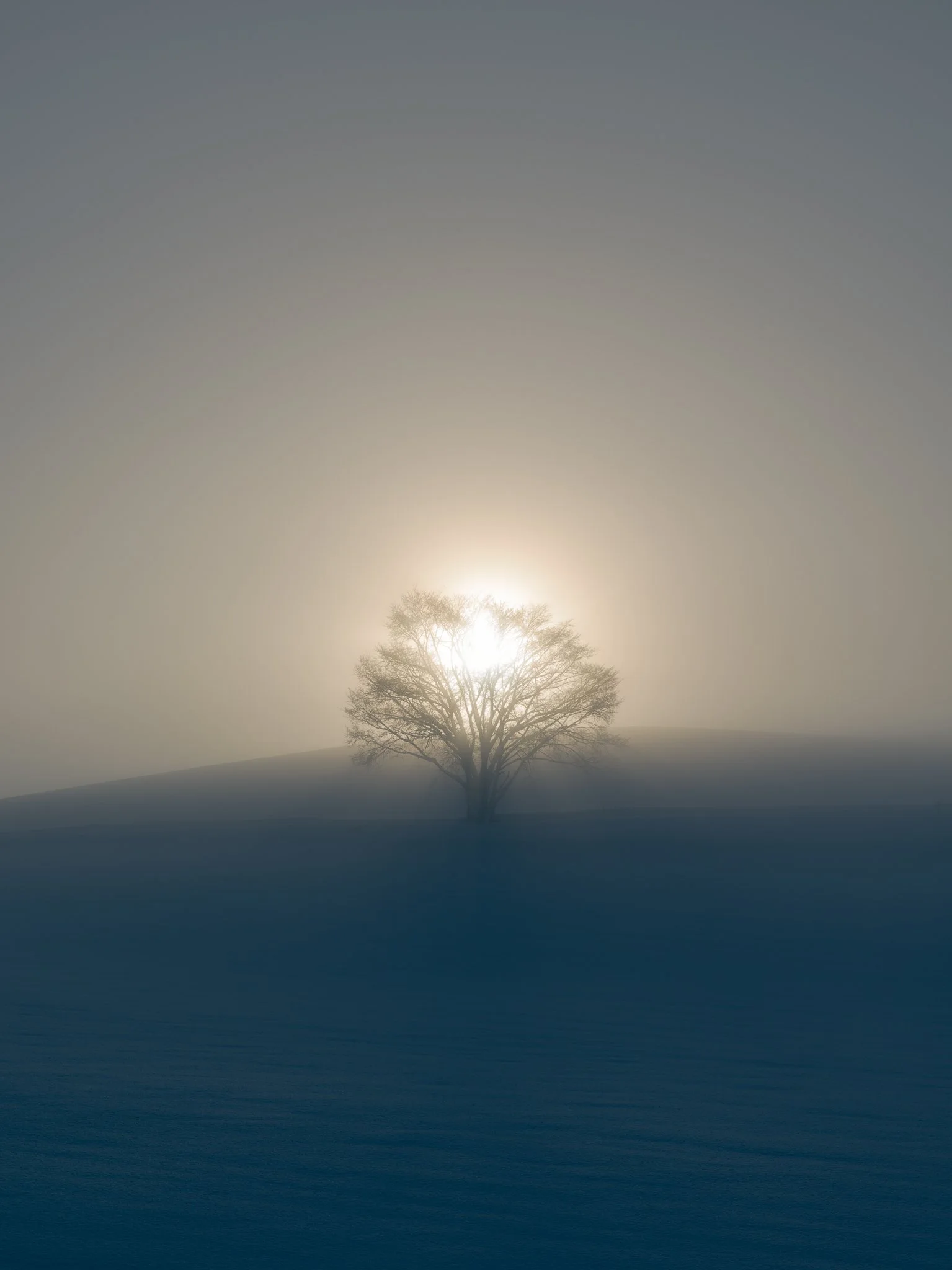 Landscape Photographer — RUJIPART